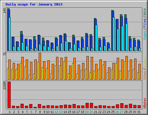 Daily usage for January 2013