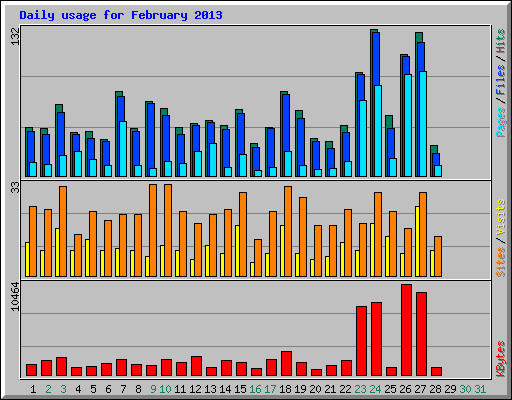 Daily usage for February 2013