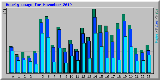 Hourly usage for November 2012