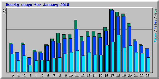 Hourly usage for January 2013