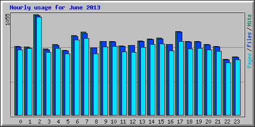 Hourly usage for June 2013