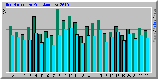 Hourly usage for January 2019