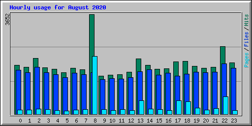 Hourly usage for August 2020