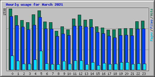 Hourly usage for March 2021